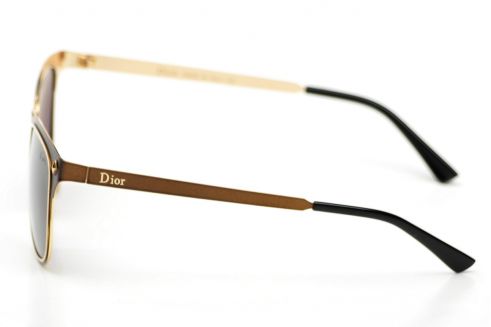 Мужские очки Dior 0152br-M